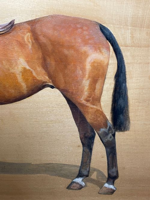 OIL PAINTING EQUINE RECRUIT BAY HUNTER HORSE BY FRANCES MABEL HOLLAMS - ADDITIONAL PHOTO 20