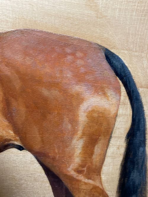 OIL PAINTING EQUINE RECRUIT BAY HUNTER HORSE BY FRANCES MABEL HOLLAMS - ADDITIONAL PHOTO 21
