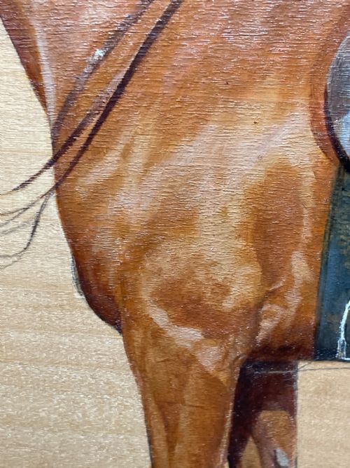 OIL PAINTING EQUINE RECRUIT BAY HUNTER HORSE BY FRANCES MABEL HOLLAMS - ADDITIONAL PHOTO 24