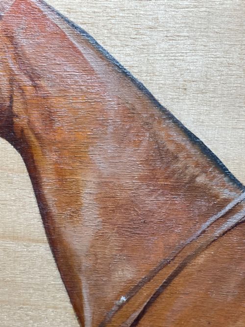 OIL PAINTING EQUINE RECRUIT BAY HUNTER HORSE BY FRANCES MABEL HOLLAMS - ADDITIONAL PHOTO 25