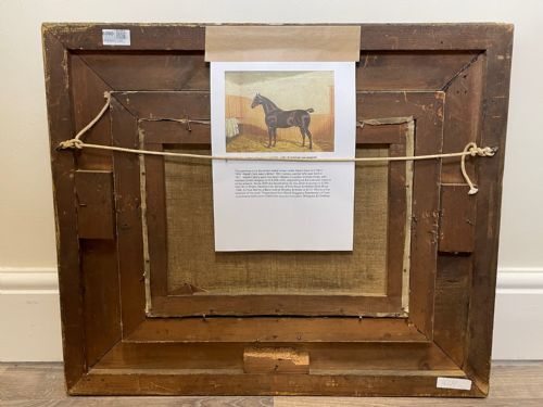 19TH CENTURY OIL PAINTING BAY HUNTER HORSE IN STABLE ALBERT CLARK SNR - ADDITIONAL PHOTO 7