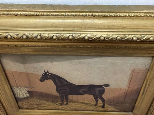 19TH CENTURY OIL PAINTING BAY HUNTER HORSE IN STABLE ALBERT CLARK SNR - ADDITIONAL PHOTO 11
