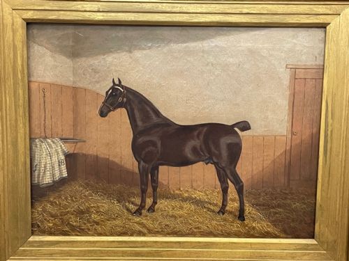 19TH CENTURY OIL PAINTING BAY HUNTER HORSE IN STABLE ALBERT CLARK SNR - ADDITIONAL PHOTO 18