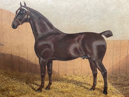 19TH CENTURY OIL PAINTING BAY HUNTER HORSE IN STABLE ALBERT CLARK SNR - ADDITIONAL PHOTO 20