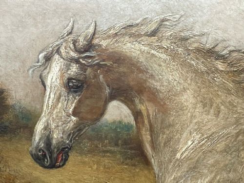 VICTORIAN PAINTING WHITE HORSE DOG PLAYMATES BY LEONARDO CATTERMOLE - ADDITIONAL PHOTO 3