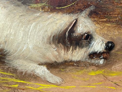 PAIR VICTORIAN HUNTING OIL PAINTINGS TERRIER DOGS RATTING J LANGLOIS - ADDITIONAL PHOTO 9
