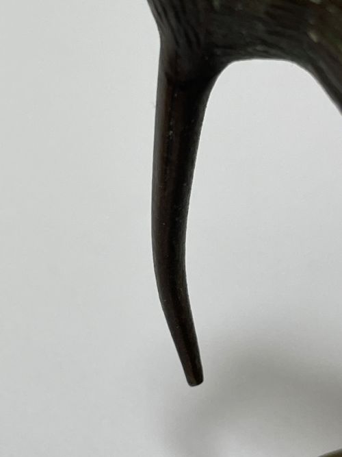 SMALL ANTIQUE AUSTRIAN BRONZE KIWI BIRD SCULPTURE - ADDITIONAL PHOTO 17