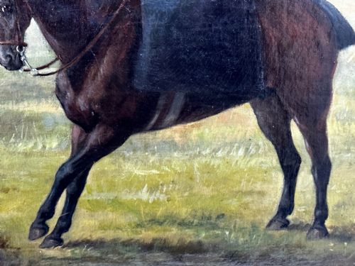 OIL PAINTING EQUINE LADY DOROTHEA ON BAY HUNTER BY ROSA FRANCES CORDER - ADDITIONAL PHOTO 13