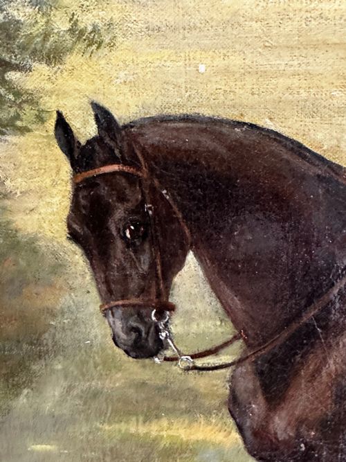 OIL PAINTING EQUINE LADY DOROTHEA ON BAY HUNTER BY ROSA FRANCES CORDER - ADDITIONAL PHOTO 19