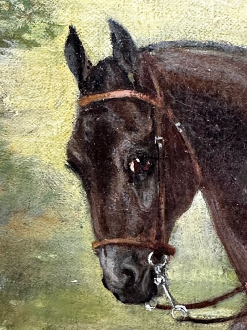 OIL PAINTING EQUINE LADY DOROTHEA ON BAY HUNTER BY ROSA FRANCES CORDER - ADDITIONAL PHOTO 24