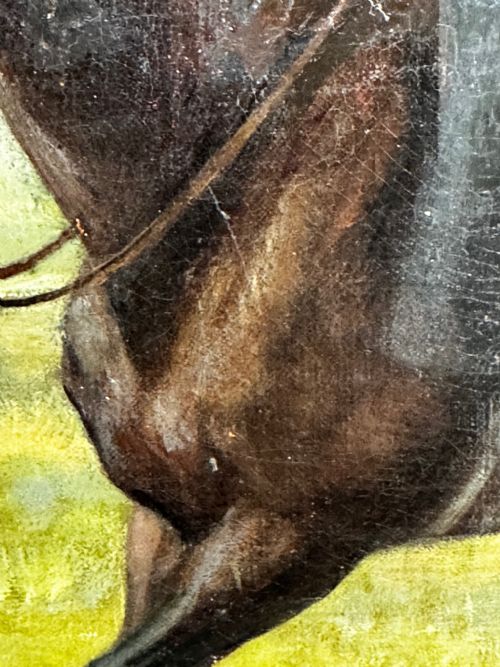 OIL PAINTING EQUINE LADY DOROTHEA ON BAY HUNTER BY ROSA FRANCES CORDER - ADDITIONAL PHOTO 25