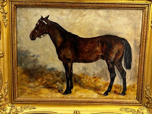 19TH CENTURY EQUINE OIL PAINTING BAY HUNTER HORSE ISRIEL BY J EMMS - ADDITIONAL PHOTO 6