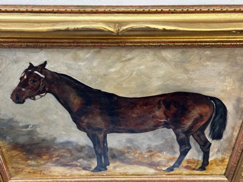 19TH CENTURY EQUINE OIL PAINTING BAY HUNTER HORSE ISRIEL BY J EMMS - ADDITIONAL PHOTO 9