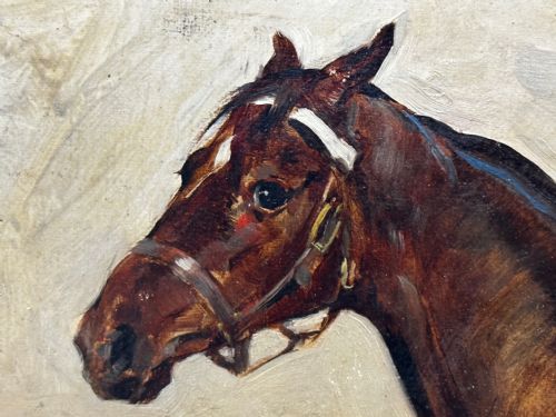 19TH CENTURY EQUINE OIL PAINTING BAY HUNTER HORSE ISRIEL BY J EMMS - ADDITIONAL PHOTO 12