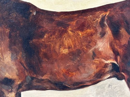 19TH CENTURY EQUINE OIL PAINTING BAY HUNTER HORSE ISRIEL BY J EMMS - ADDITIONAL PHOTO 14