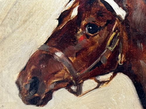 19TH CENTURY EQUINE OIL PAINTING BAY HUNTER HORSE ISRIEL BY J EMMS - ADDITIONAL PHOTO 19