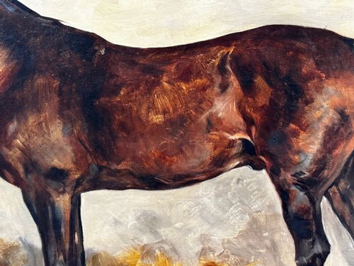 19TH CENTURY EQUINE OIL PAINTING BAY HUNTER HORSE ISRIEL BY J EMMS - ADDITIONAL PHOTO 29