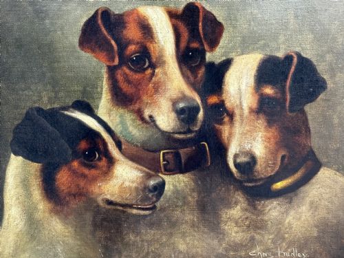 VICTORIAN OIL PAINTING JACK RUSSELL DOGS PA MA I BY CHARLES DUDLEY - ADDITIONAL PHOTO 12