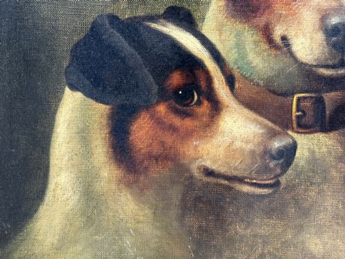 VICTORIAN OIL PAINTING JACK RUSSELL DOGS PA MA I BY CHARLES DUDLEY - ADDITIONAL PHOTO 13