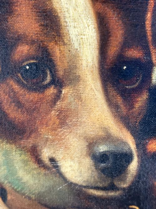 VICTORIAN OIL PAINTING JACK RUSSELL DOGS PA MA I BY CHARLES DUDLEY - ADDITIONAL PHOTO 18