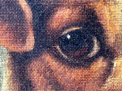 VICTORIAN OIL PAINTING JACK RUSSELL DOGS PA MA I BY CHARLES DUDLEY - ADDITIONAL PHOTO 29