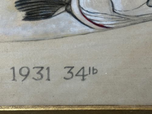 PD MALLOCH PERTH WATERCOLOUR SALMON FISH CAUGHT RIVER SPEY 34LB C1931 - ADDITIONAL PHOTO 14