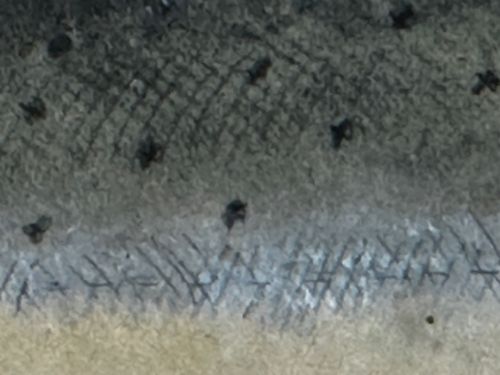 PD MALLOCH PERTH WATERCOLOUR SALMON FISH CAUGHT RIVER SPEY 34LB C1931 - ADDITIONAL PHOTO 17