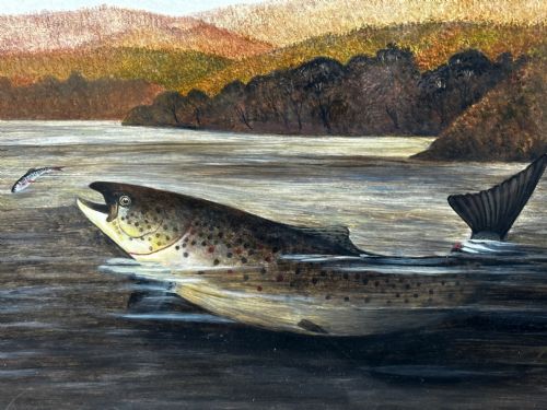 OIL PAINTING RAINBOW TROUT FISH SURFACING BY AUTHOR ROLAND KNIGHT - ADDITIONAL PHOTO 1