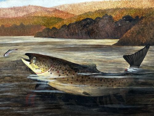 OIL PAINTING RAINBOW TROUT FISH SURFACING BY AUTHOR ROLAND KNIGHT - ADDITIONAL PHOTO 9