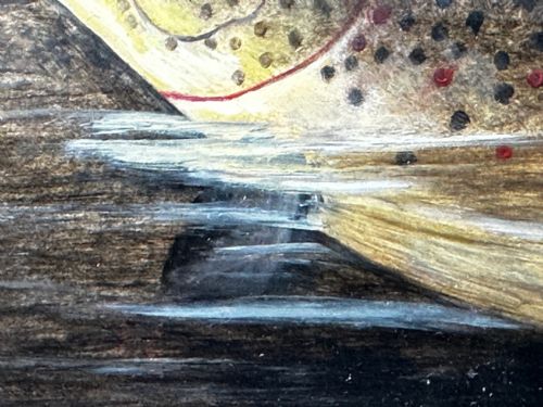 OIL PAINTING RAINBOW TROUT FISH SURFACING BY AUTHOR ROLAND KNIGHT - ADDITIONAL PHOTO 12