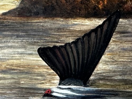 OIL PAINTING RAINBOW TROUT FISH SURFACING BY AUTHOR ROLAND KNIGHT - ADDITIONAL PHOTO 15