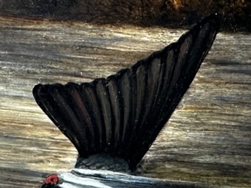 OIL PAINTING RAINBOW TROUT FISH SURFACING BY AUTHOR ROLAND KNIGHT - ADDITIONAL PHOTO 20