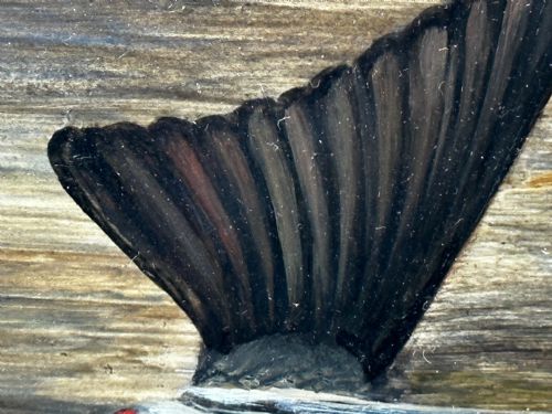 OIL PAINTING RAINBOW TROUT FISH SURFACING BY AUTHOR ROLAND KNIGHT - ADDITIONAL PHOTO 27