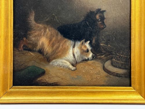 OIL PAINTING 2 TERRIER DOGS ON THE SCENT RATTING GEORGE ARMFIELD C1867 - ADDITIONAL PHOTO 2