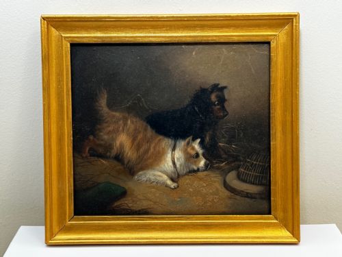OIL PAINTING 2 TERRIER DOGS ON THE SCENT RATTING GEORGE ARMFIELD C1867 - ADDITIONAL PHOTO 3