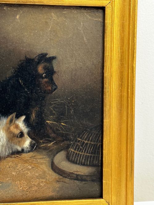 OIL PAINTING 2 TERRIER DOGS ON THE SCENT RATTING GEORGE ARMFIELD C1867 - ADDITIONAL PHOTO 4