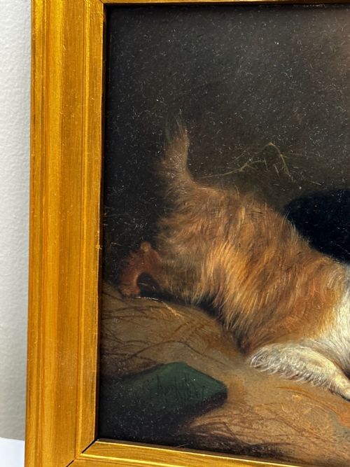 OIL PAINTING 2 TERRIER DOGS ON THE SCENT RATTING GEORGE ARMFIELD C1867 - ADDITIONAL PHOTO 5
