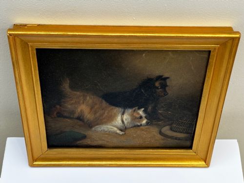 OIL PAINTING 2 TERRIER DOGS ON THE SCENT RATTING GEORGE ARMFIELD C1867 - ADDITIONAL PHOTO 6
