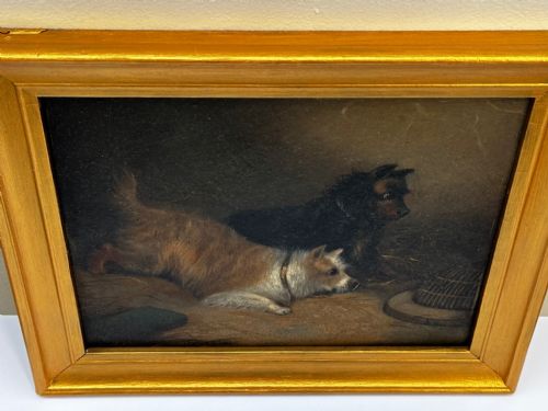 OIL PAINTING 2 TERRIER DOGS ON THE SCENT RATTING GEORGE ARMFIELD C1867 - ADDITIONAL PHOTO 7