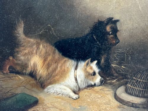 OIL PAINTING 2 TERRIER DOGS ON THE SCENT RATTING GEORGE ARMFIELD C1867 - ADDITIONAL PHOTO 8