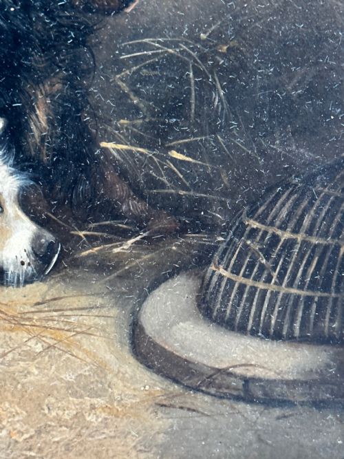 OIL PAINTING 2 TERRIER DOGS ON THE SCENT RATTING GEORGE ARMFIELD C1867 - ADDITIONAL PHOTO 9
