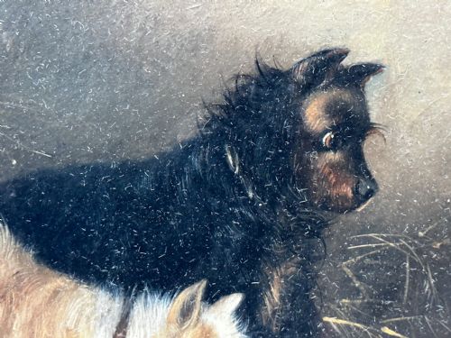 OIL PAINTING 2 TERRIER DOGS ON THE SCENT RATTING GEORGE ARMFIELD C1867 - ADDITIONAL PHOTO 10