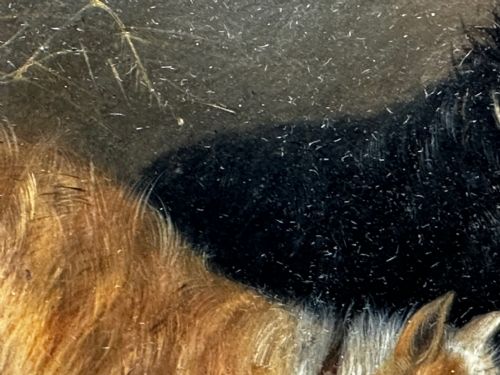 OIL PAINTING 2 TERRIER DOGS ON THE SCENT RATTING GEORGE ARMFIELD C1867 - ADDITIONAL PHOTO 20