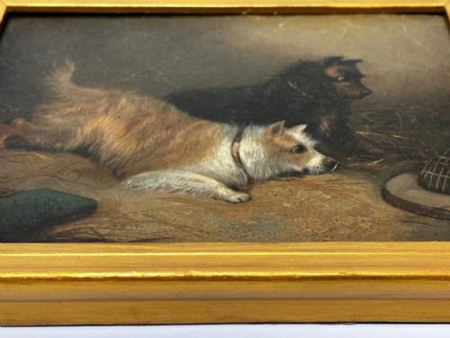 OIL PAINTING 2 TERRIER DOGS ON THE SCENT RATTING GEORGE ARMFIELD C1867 - ADDITIONAL PHOTO 26