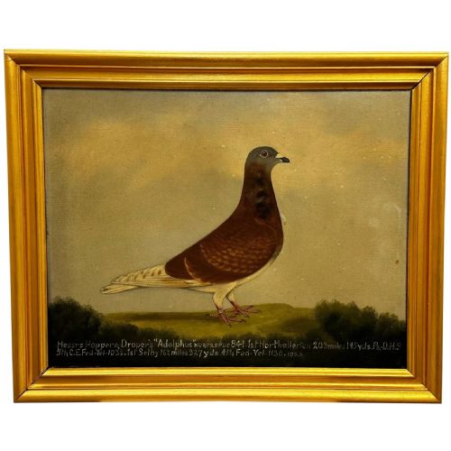 oil painting racing bird pigeon adolphus by edward henry windred - CATEGORY: ANTIQUE ART - DATED VICTORIAN