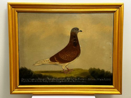 OIL PAINTING RACING BIRD PIGEON ADOLPHUS BY EDWARD HENRY WINDRED - ADDITIONAL PHOTO 2