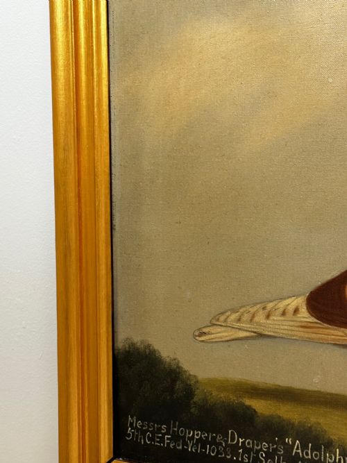 OIL PAINTING RACING BIRD PIGEON ADOLPHUS BY EDWARD HENRY WINDRED - ADDITIONAL PHOTO 4