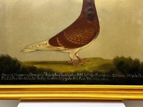 OIL PAINTING RACING BIRD PIGEON ADOLPHUS BY EDWARD HENRY WINDRED - ADDITIONAL PHOTO 5
