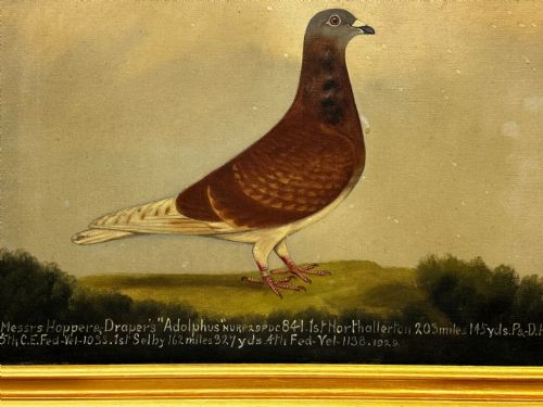 OIL PAINTING RACING BIRD PIGEON ADOLPHUS BY EDWARD HENRY WINDRED - ADDITIONAL PHOTO 6