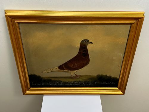 OIL PAINTING RACING BIRD PIGEON ADOLPHUS BY EDWARD HENRY WINDRED - ADDITIONAL PHOTO 7